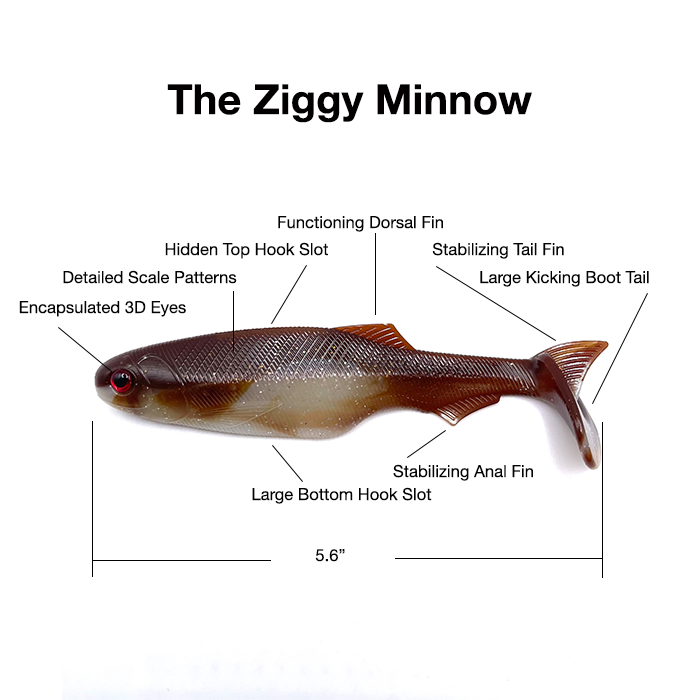 Ziggy Minnow, Brown Pearl